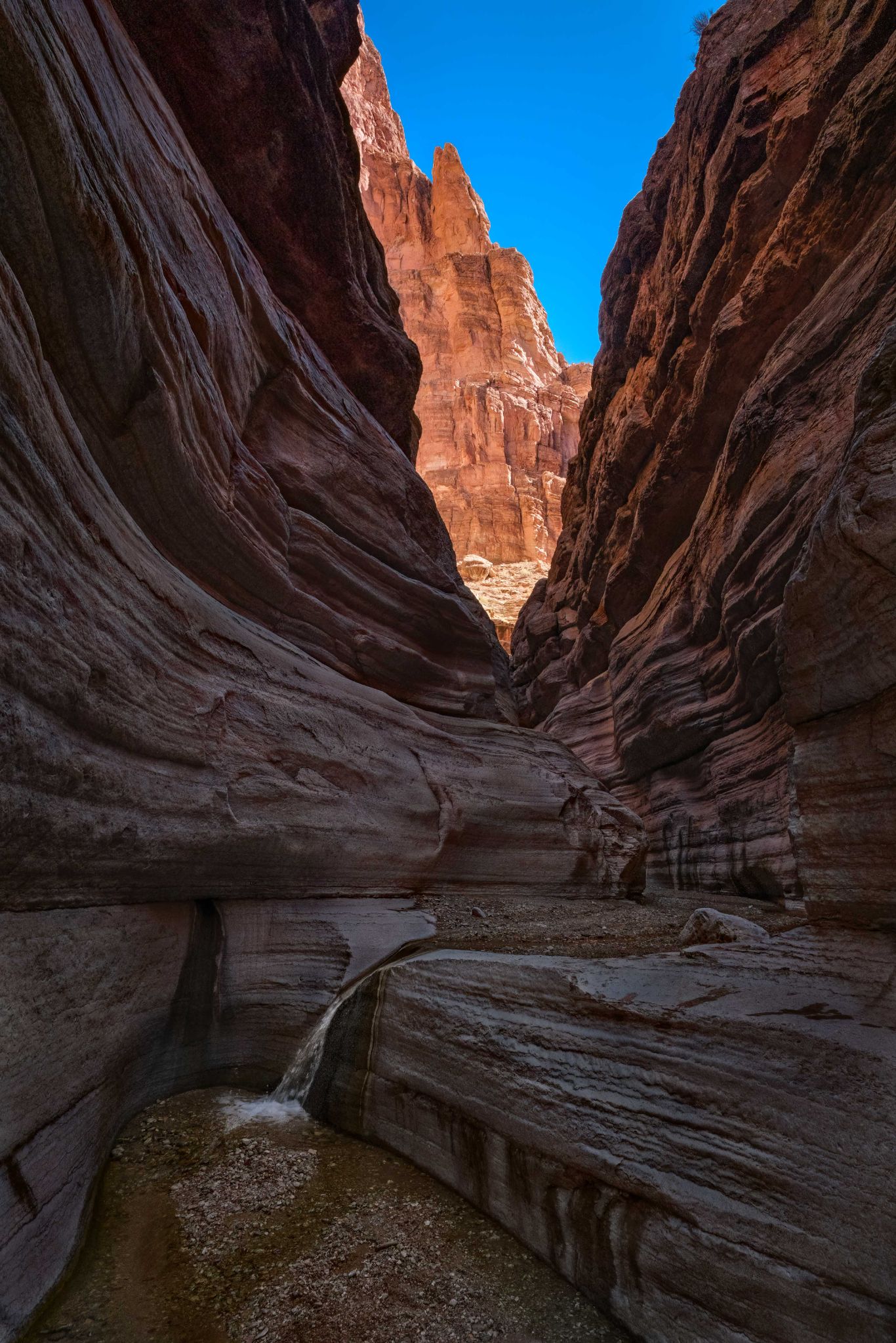 Grand Canyon Fine Art (23 of 23)